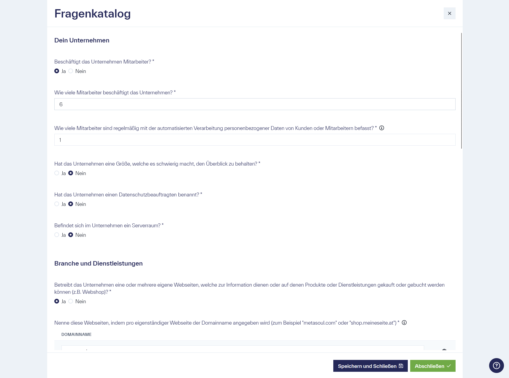 Ein Fragenkatalog mit Ja/Nein Antworten sowie Textfelder für das Beantworten der Fragen